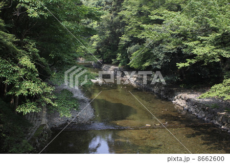 渓流 8662600