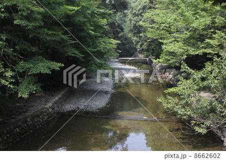 渓流 8662602