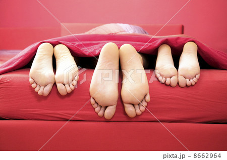 domestic life domestic life 8662964