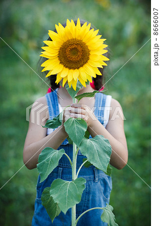 Beautiful little girl and sunflower 8666007