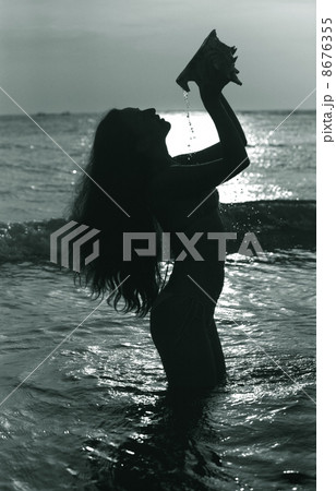 Cockleshell 8676355