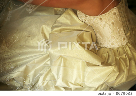 Dress of a bride Dress of a bride 8679032