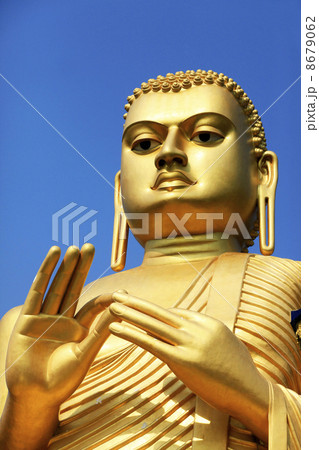 Buddha Buddha 8679062