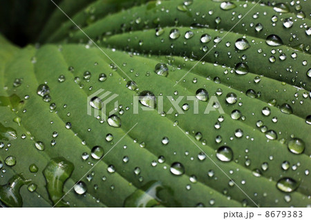Water drops Water drops 8679383