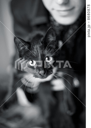 Cat by name Amely Cat by name Amely 8680878