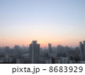 上海の朝焼け 8683929