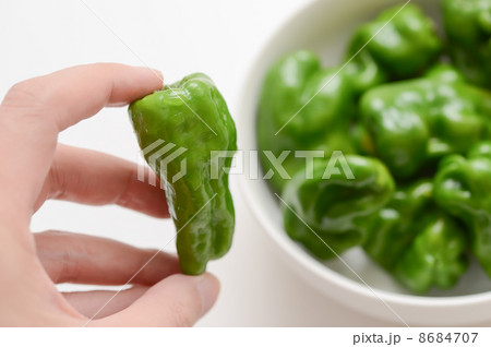 ピーマン 8684707