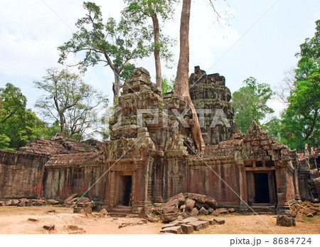 Ta Prohm Temple, Angkor Wat, Cambodia 8684724