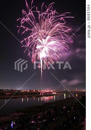 花火 8685564