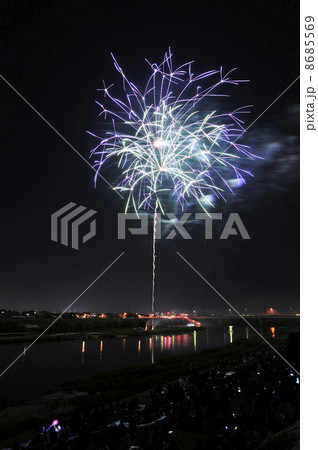 花火 8685569