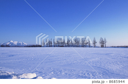 冬景色　北海道観光　冬の大地 8685944
