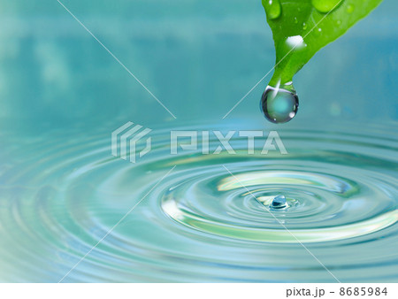 Green leaf with water drop Green leaf with water drop 8685984