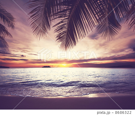 Tropical beach Tropical beach 8686322
