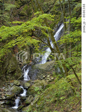 油滝 油滝 8686388