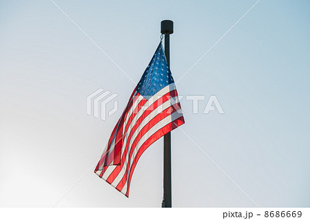 USA Flag 8686669
