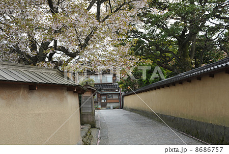 金沢　長町武家屋敷跡 8686757
