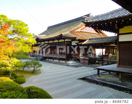 仁和寺の北庭 8686782