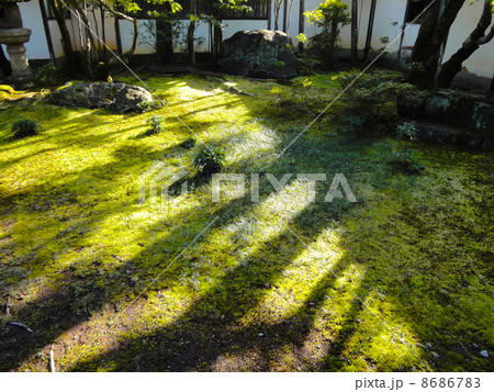 仁和寺の旧御室御所庭 8686783