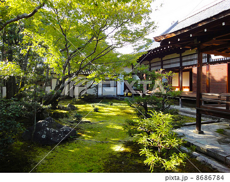 仁和寺の御所庭 仁和寺の御所庭 8686784