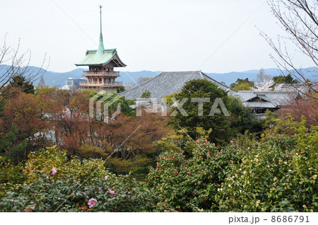京都 祇園 大雲院 京都 祇園 大雲院 8686791