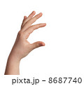 hand 8687740