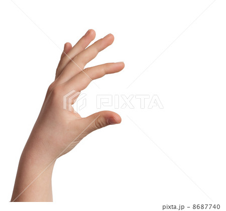 hand 8687740