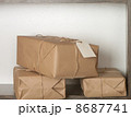 box 8687741