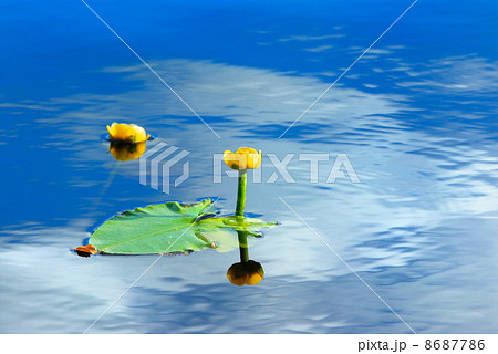 Reflection of clouds Reflection of clouds 8687786