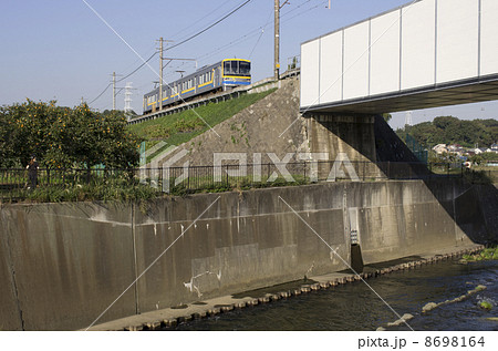 秋の実りと電車 8698164