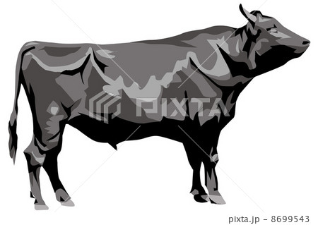 和牛のイラスト素材 8699543 Pixta