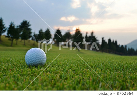 ゴルフ ゴルフ 8702964