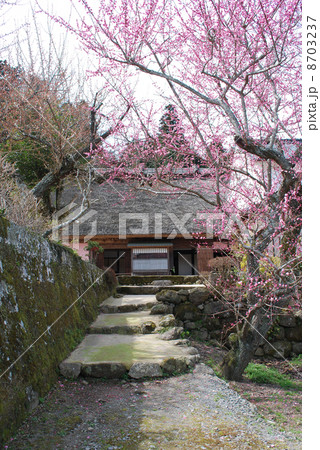 三浦梅園旧宅　国指定史跡　 8703237