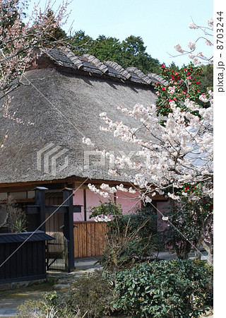 三浦梅園旧宅　国指定史跡　 8703244
