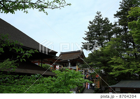 地主神社 8704204