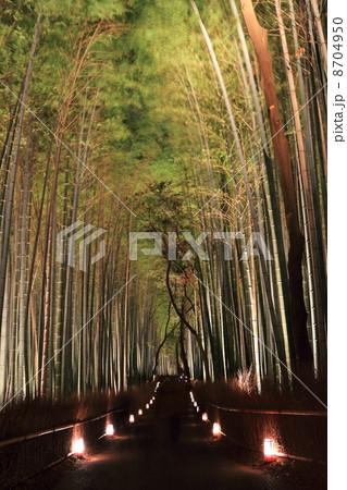 嵐山花灯路　竹林の小径 8704950