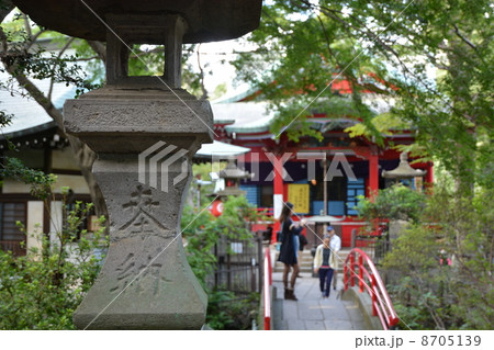 井の頭公園弁天 井の頭公園弁天 8705139