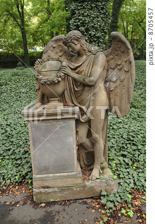 Mourning angel 8705457