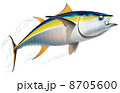 Yellowfin tuna 8705600