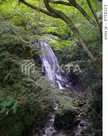 玉簾の滝 玉簾の滝 8708323