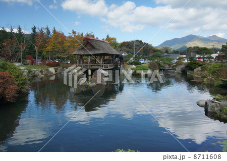 忍野村の日本庭園 8711608