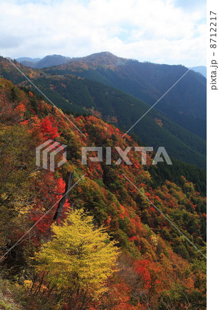 大台ケ原の秋 8712217