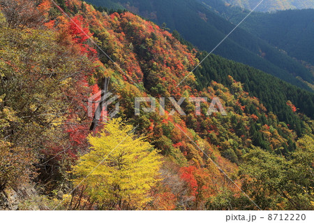 大台ケ原の秋 8712220