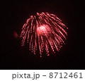花火 8712461