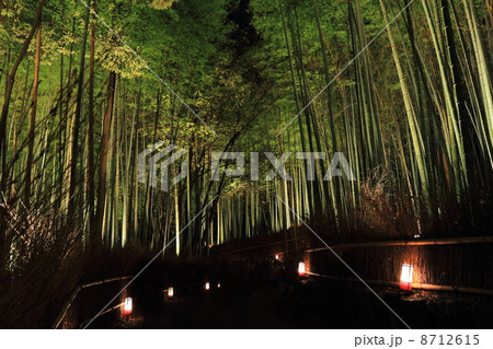 嵐山花灯路　竹林の小径 8712615