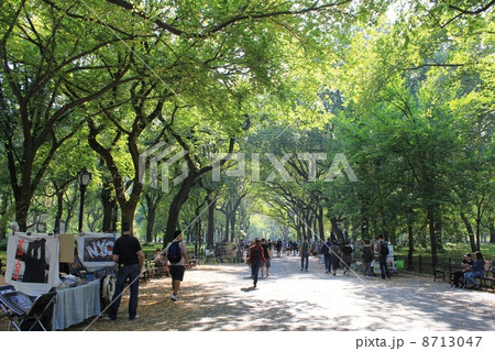 セントラルパークのベンチで休む男性 ニューヨーク州 アメリカの写真素材