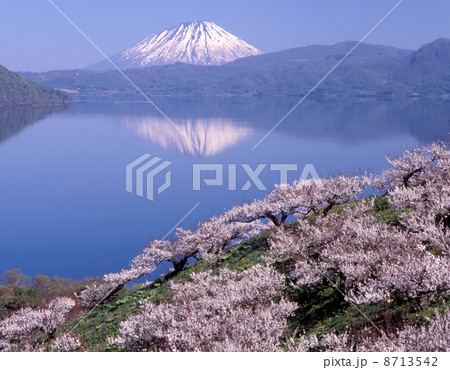 洞爺湖壮瞥公園 8713542