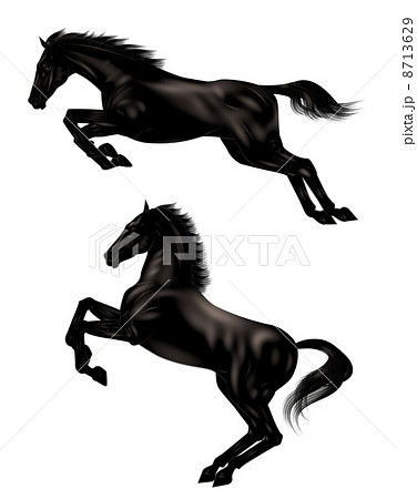 馬のイラスト素材 [8713629] - PIXTA