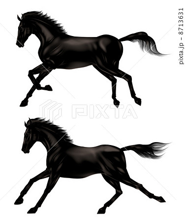 心に強く訴えるかっこいい 馬 走る イラスト イラスト画像