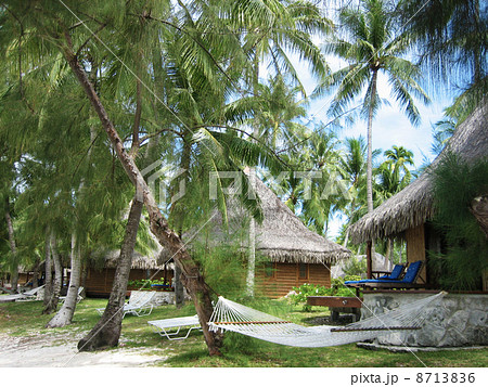 タヒチの大自然に囲まれて、ゆる～い昼寝に誘われました 8713836