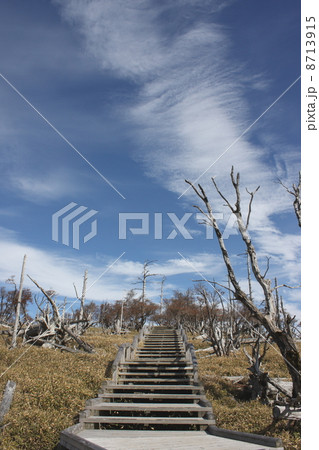 大台ケ原 正木峠  8713915